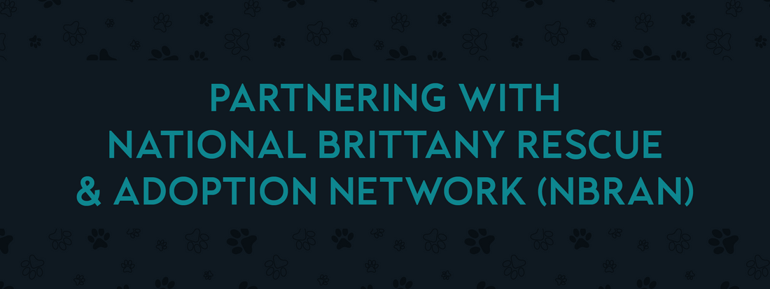 National Brittany Rescue & Adoption Network (NBRAN) Partnership