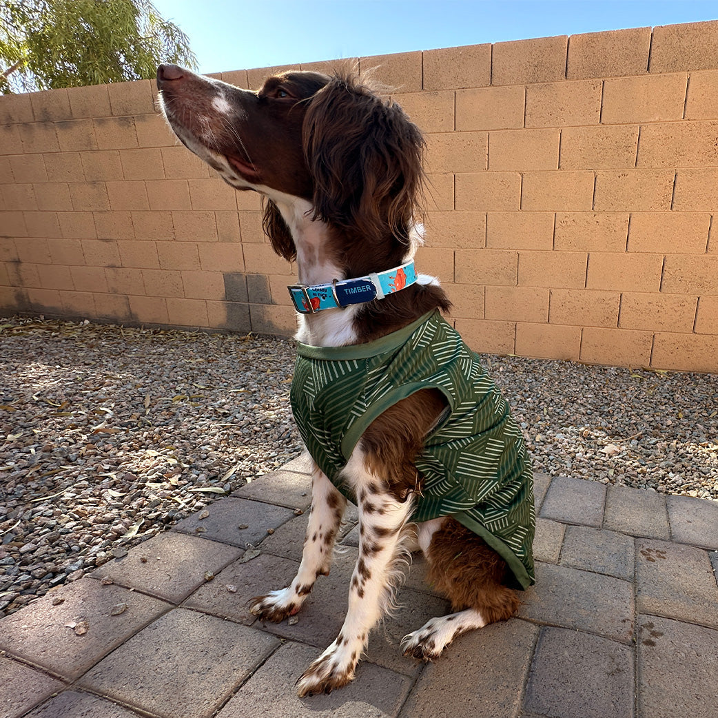 EzPet Apparel