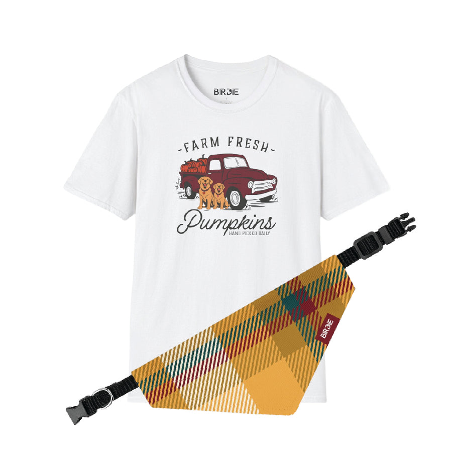 Fall dog shirt
