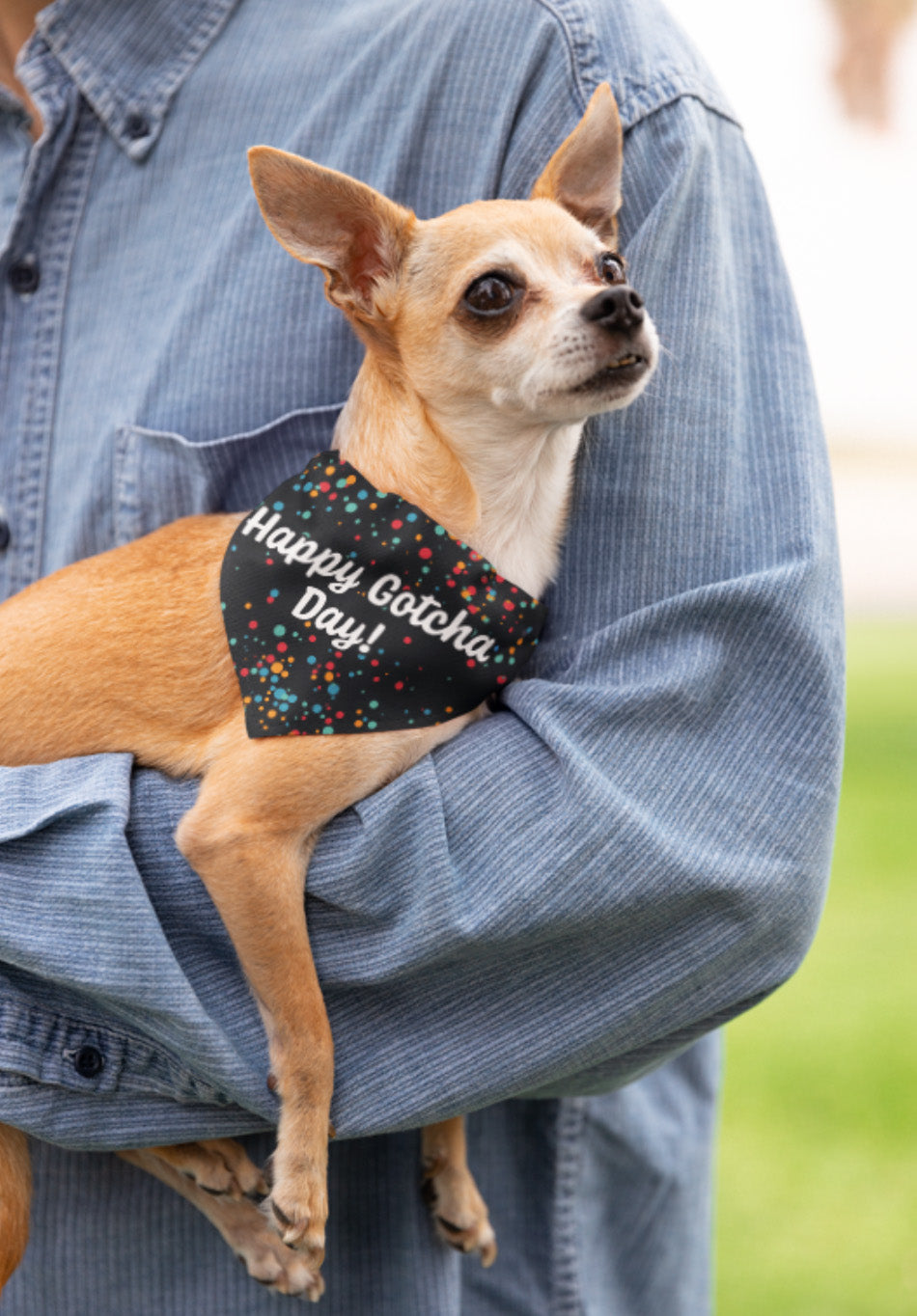 Happy Gotcha Day Pet Bandana Collar