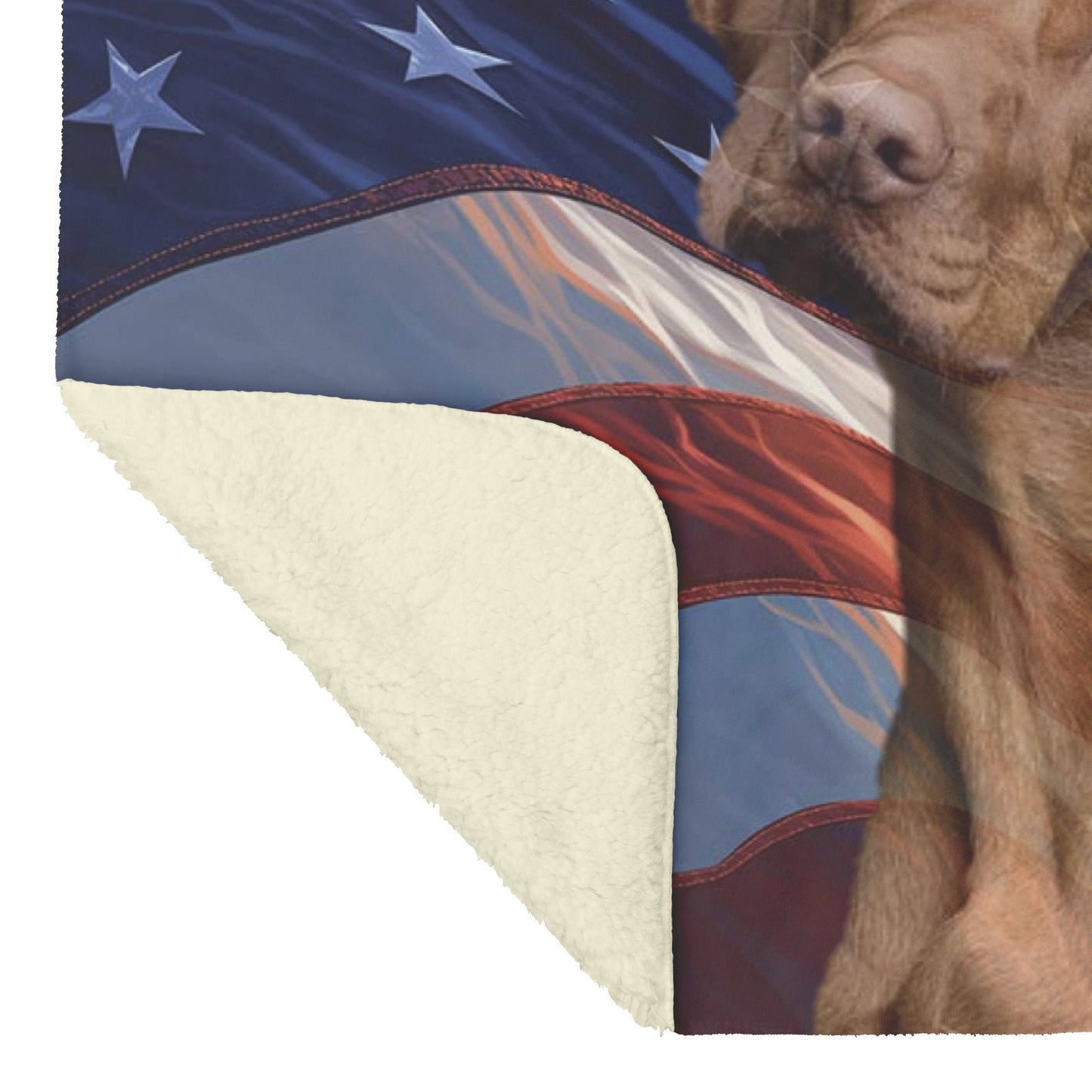 custom pet blankets