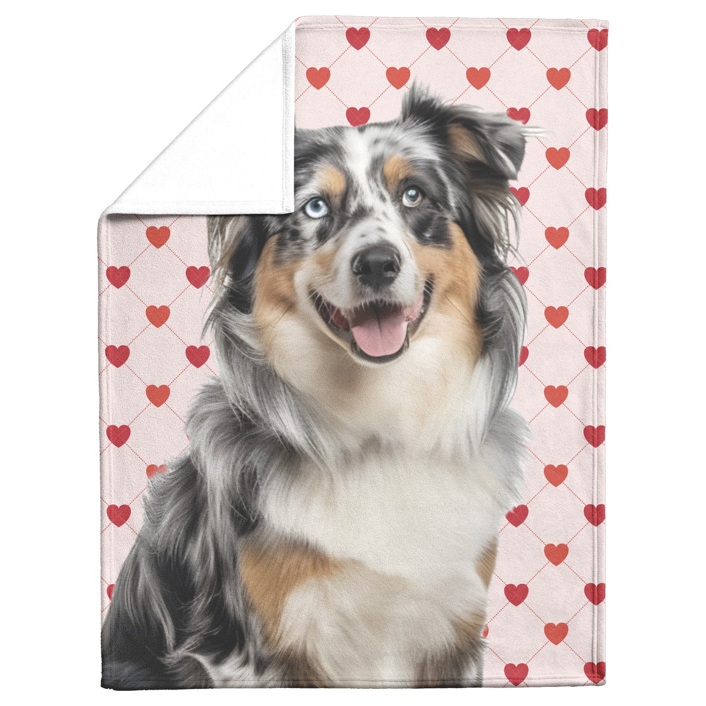 custom pet blanket