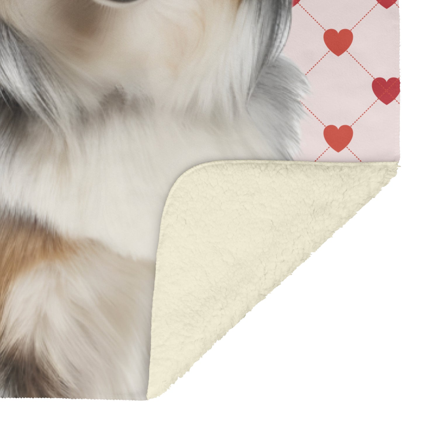 custom pet blanket