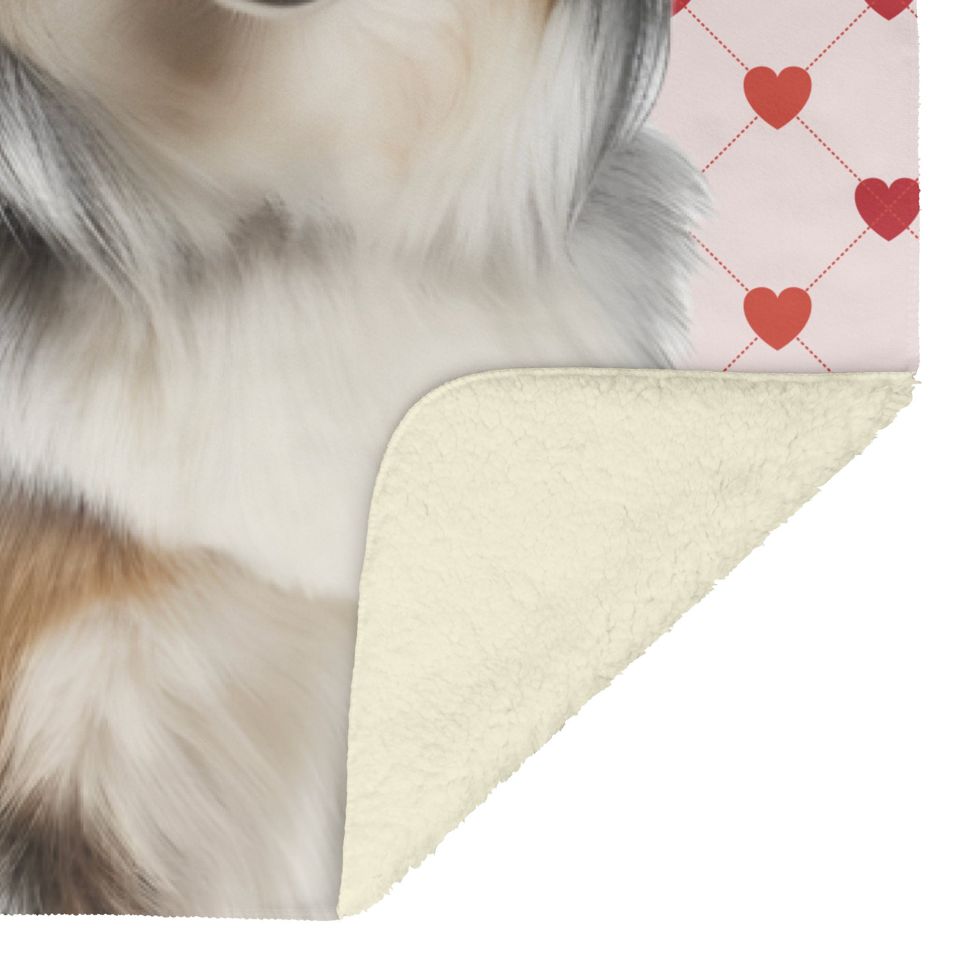 custom pet blanket