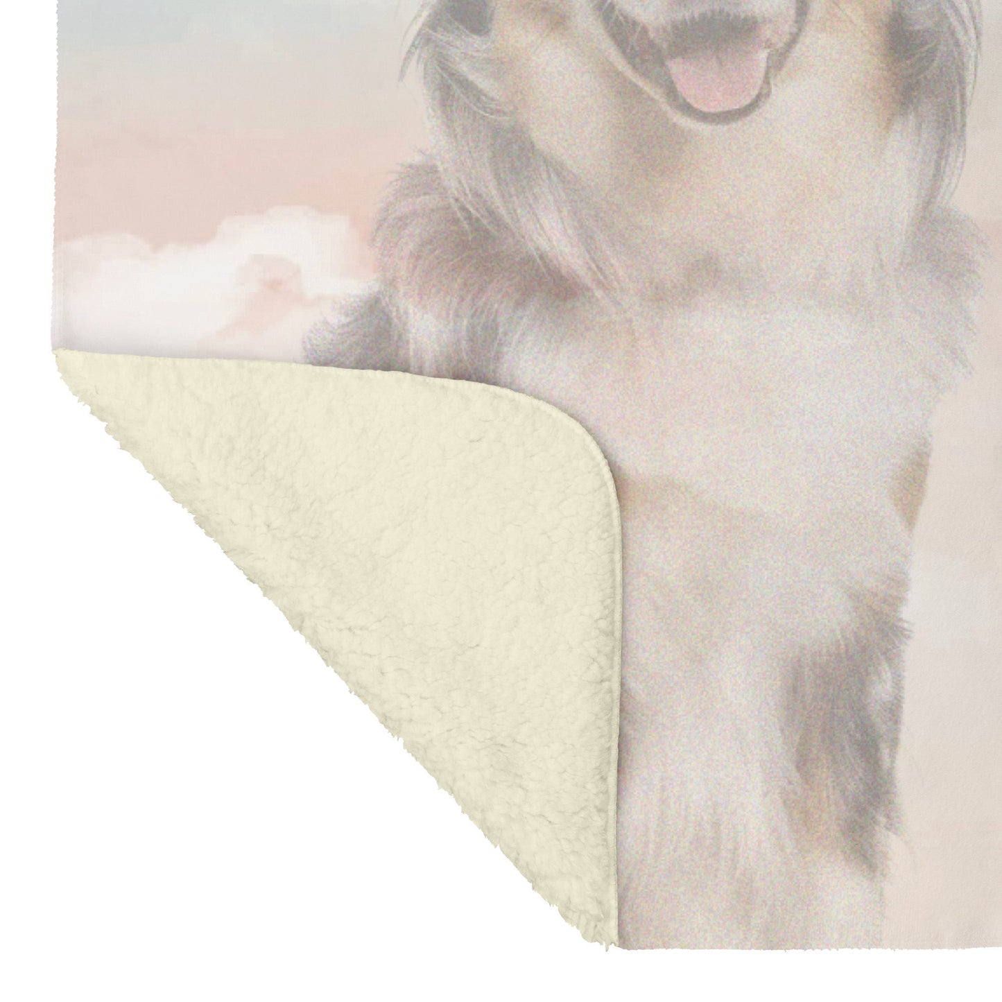 custom pet blanket