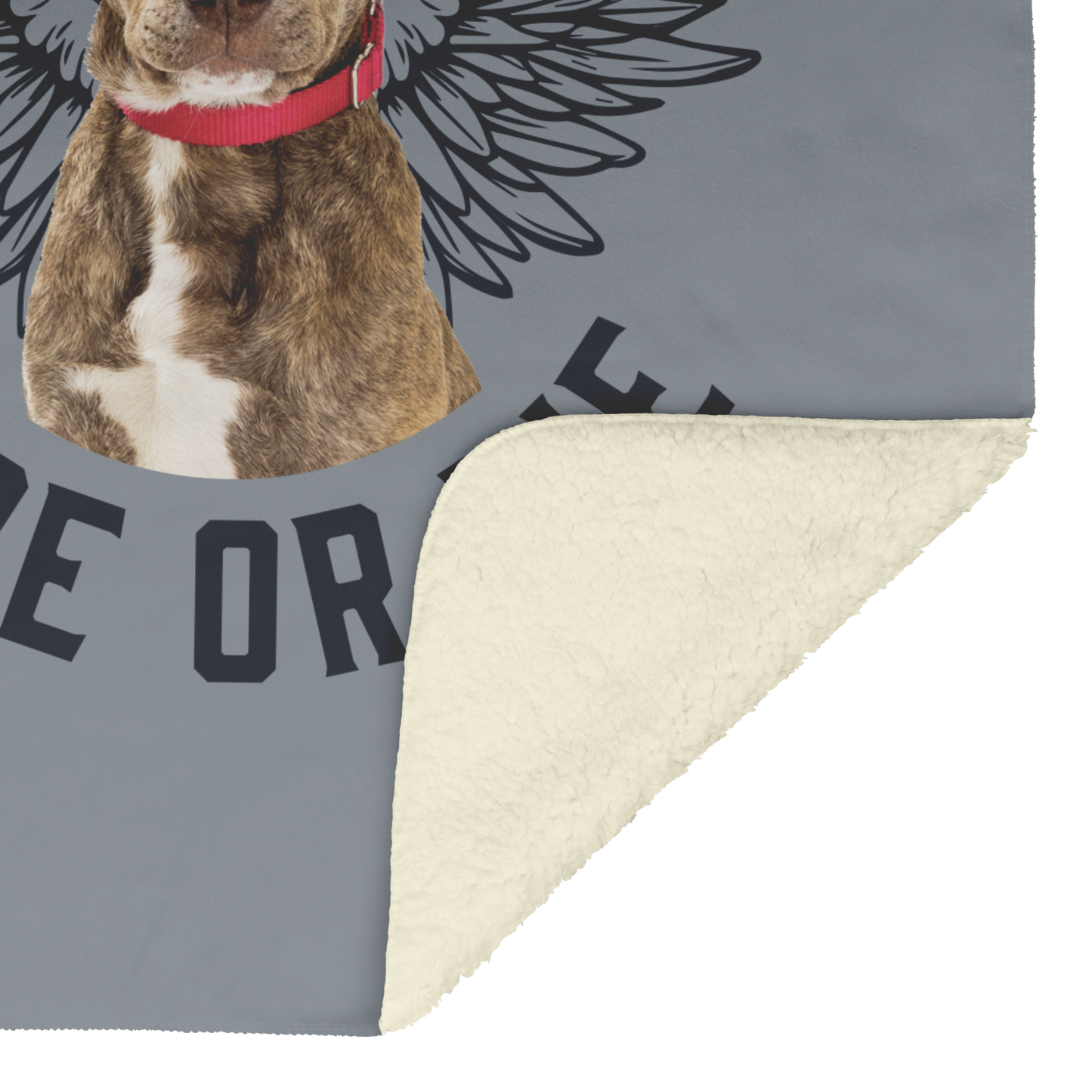 custom pet blanket