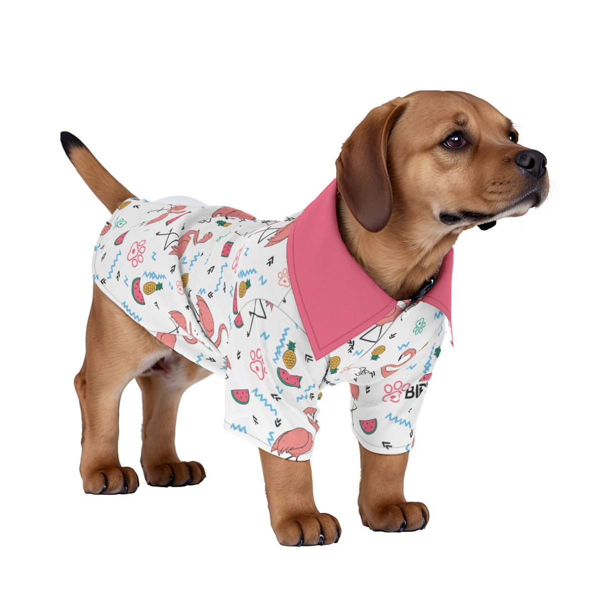 Matching human and pet hawaiian shirts