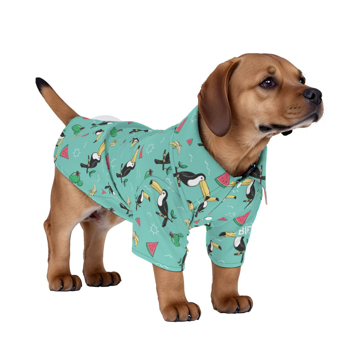 Matching human and pet hawaiian shirts