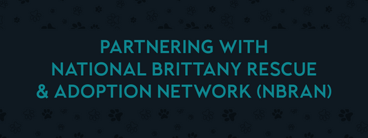 National Brittany Rescue & Adoption Network (NBRAN) Partner