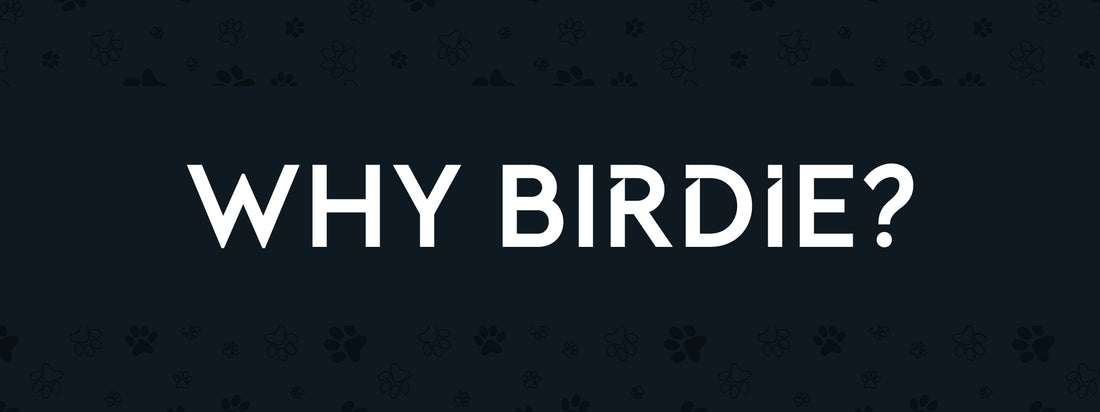 Why BIRDIE?