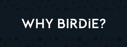 Why BIRDIE?