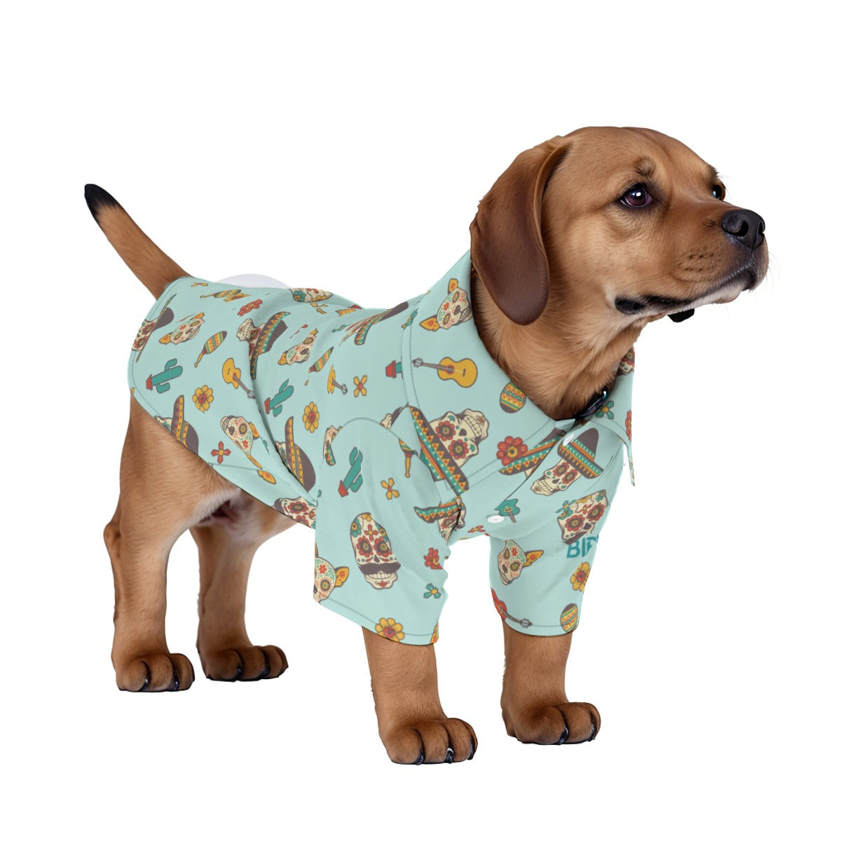 Dia De Paws EzLuau