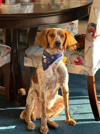 SRK Christmas Pet Bandana