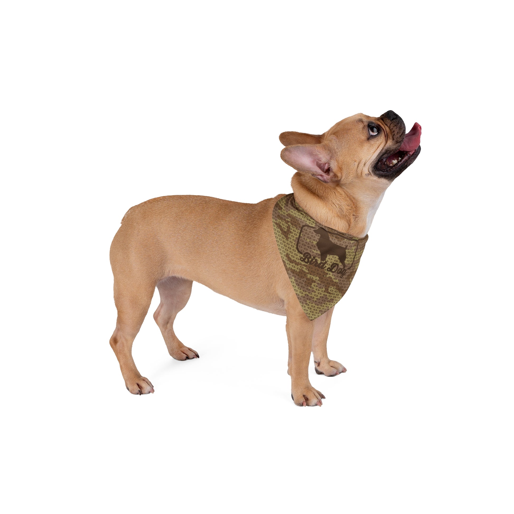 hunting dog bandana