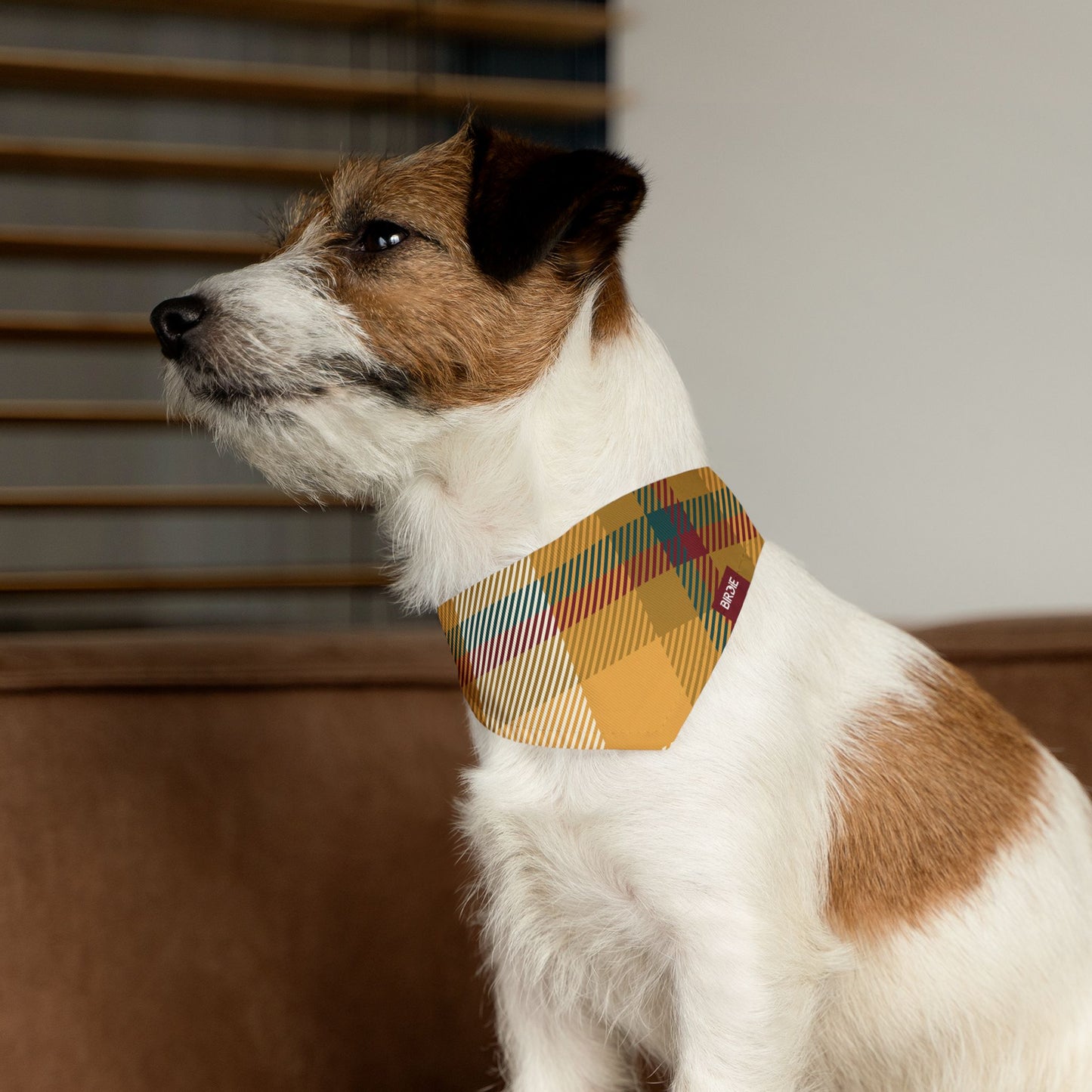 Dog bandana collar