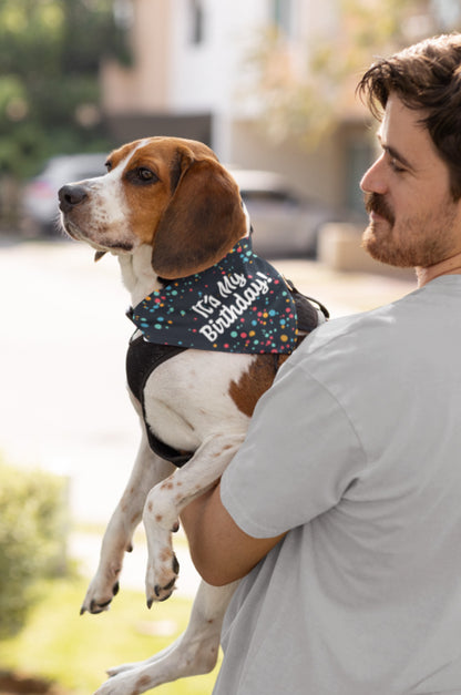 It's My Birthday! Pet Bandana Collar