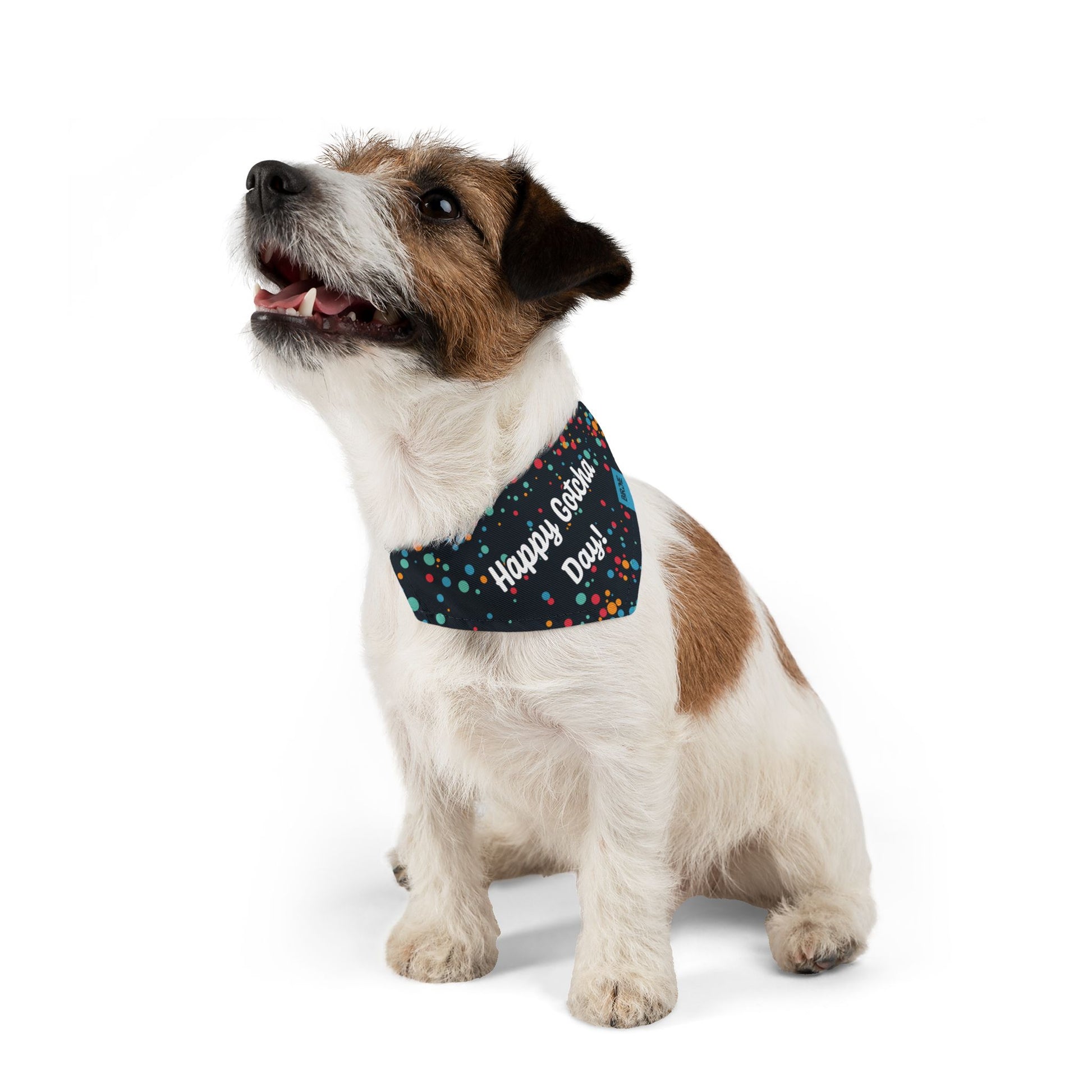 Dog bandana collar