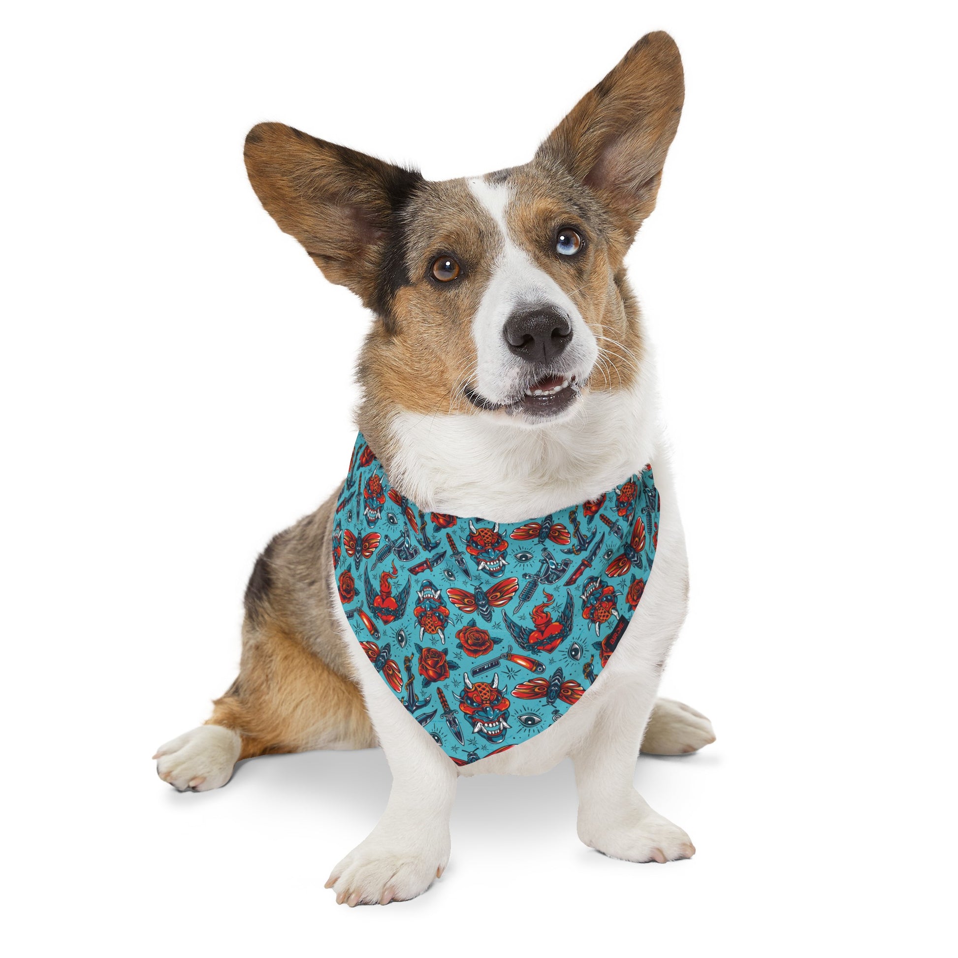 Dog collar