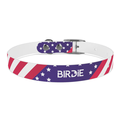 durable dog collar