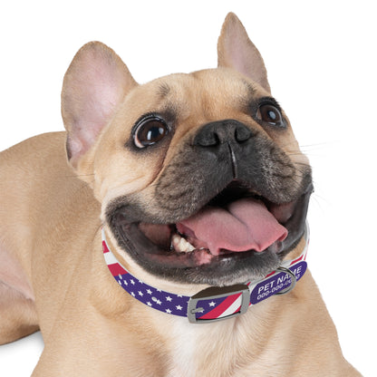 durable dog collar