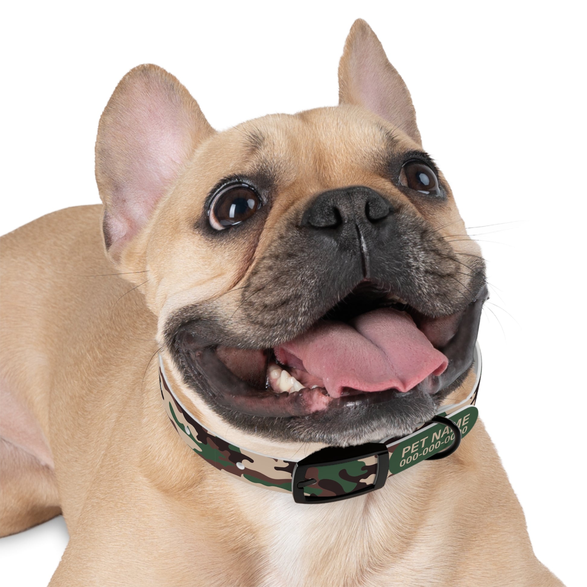 durable dog collar