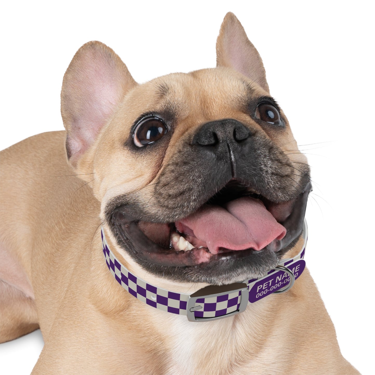 durable dog collar