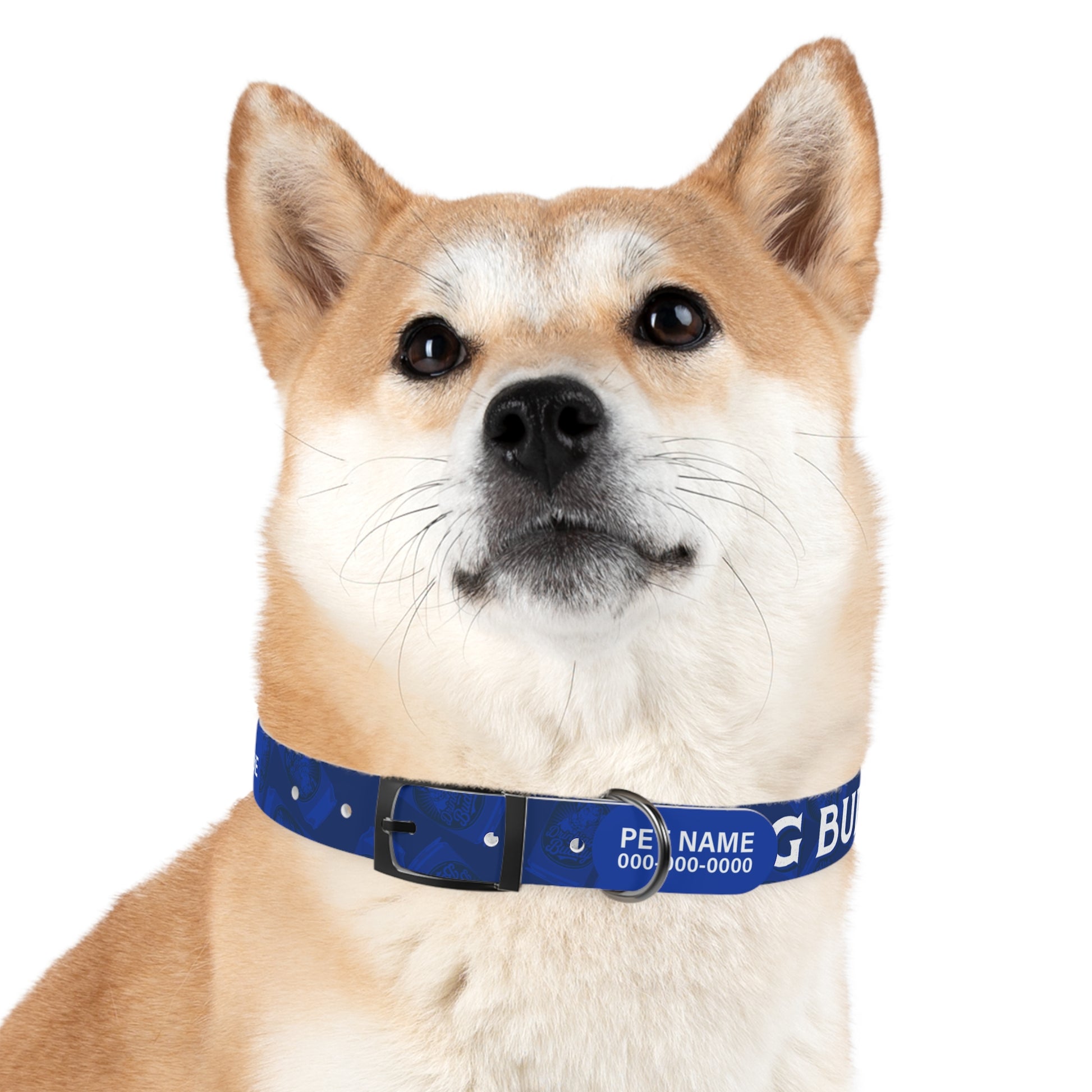 durable dog collar