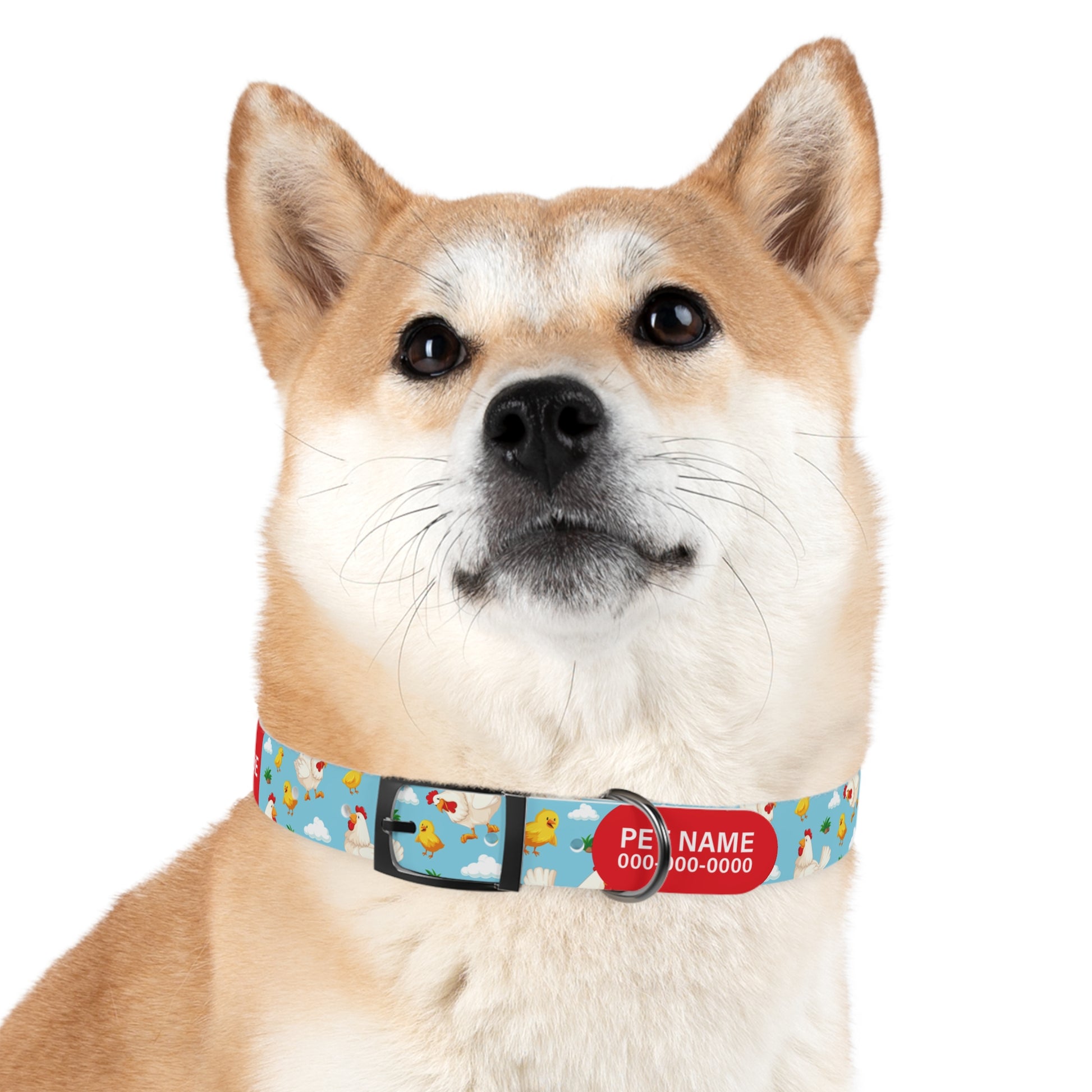 durable dog collar