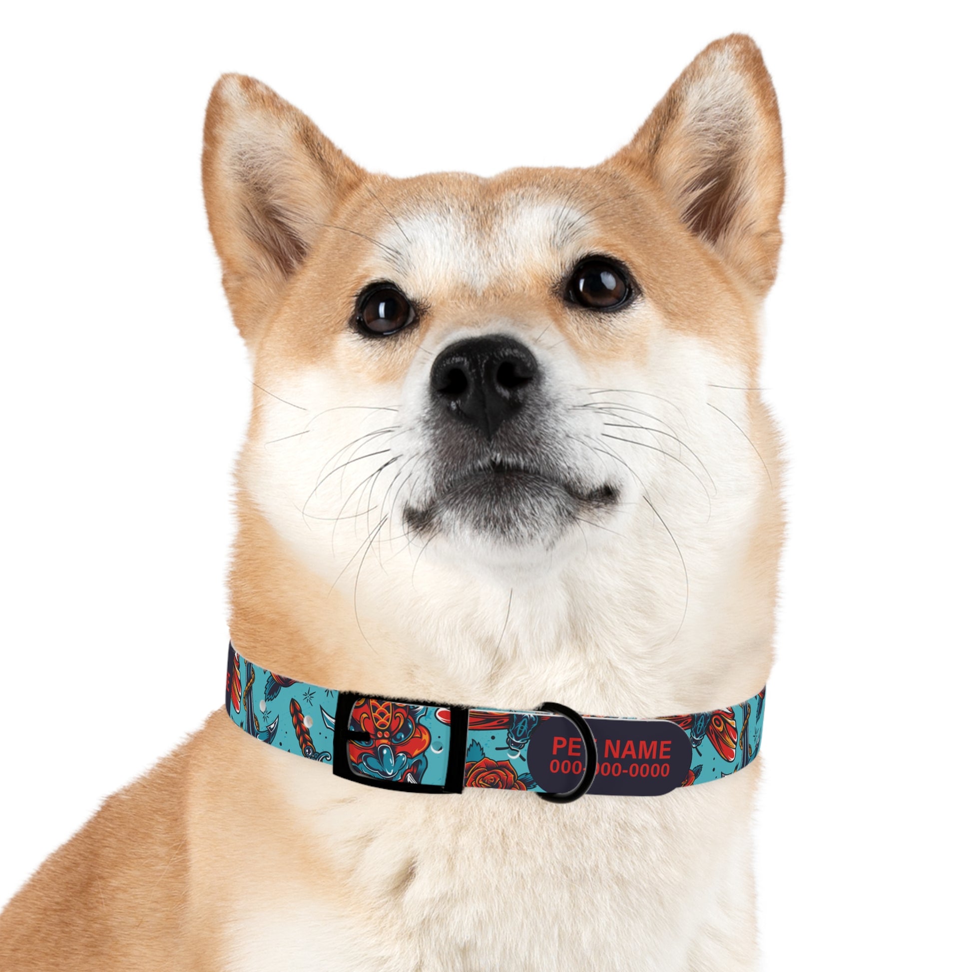 durable dog collar