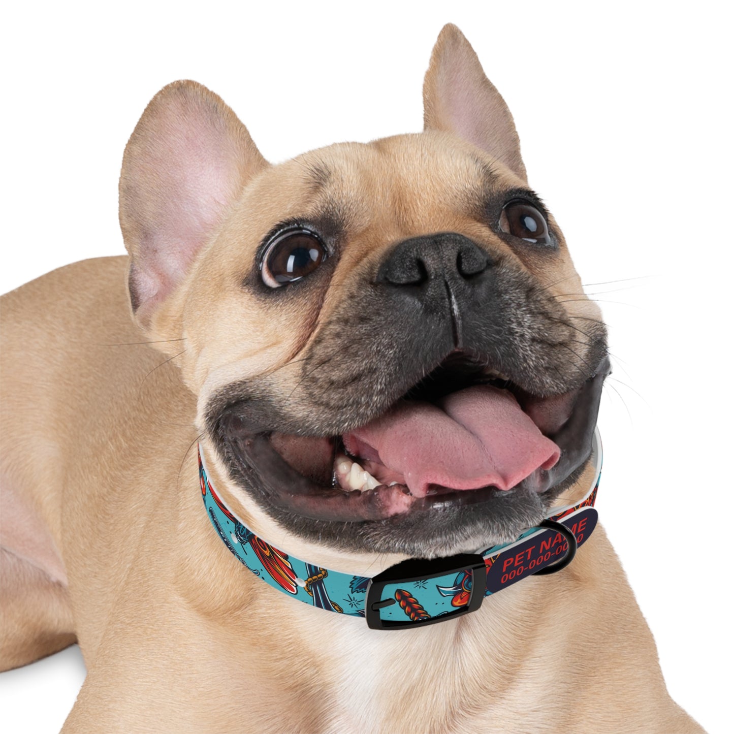 durable dog collar