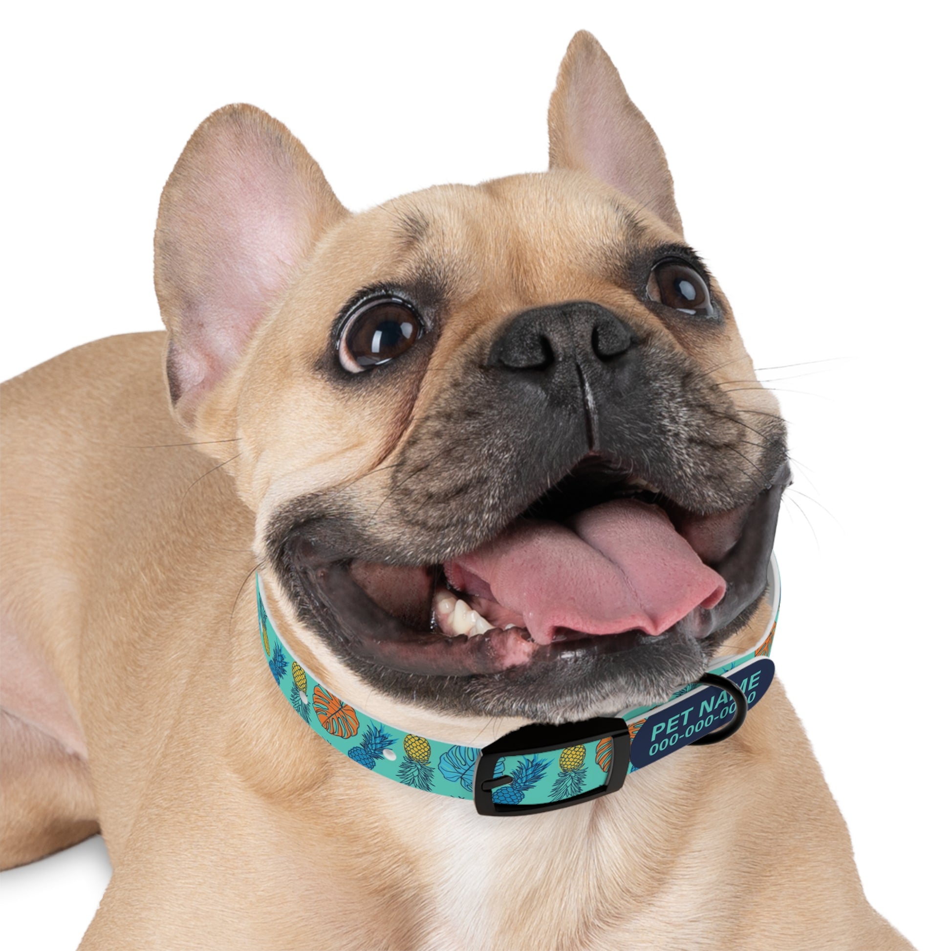 durable dog collar