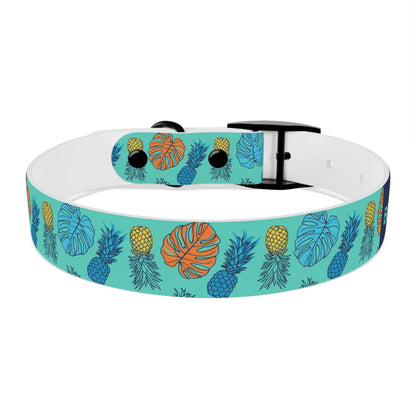 durable dog collar