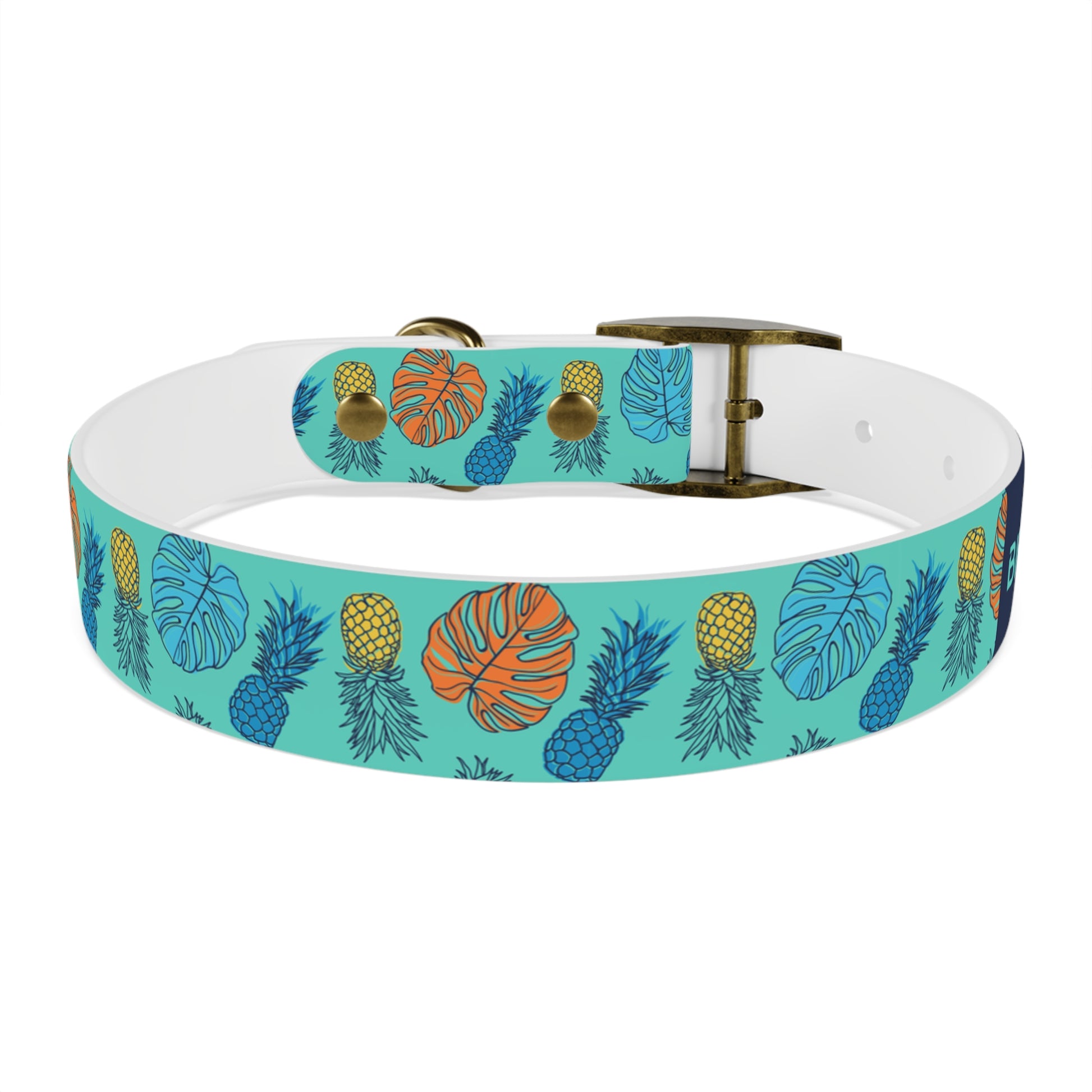 durable dog collar