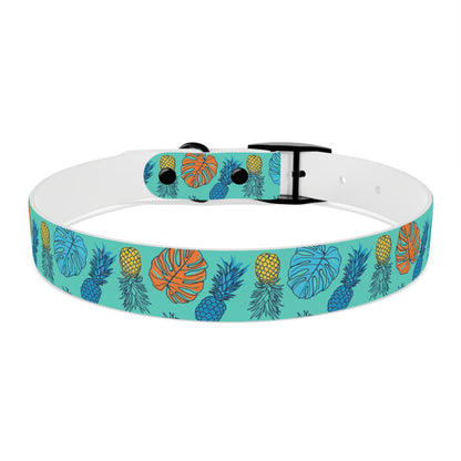 durable dog collar