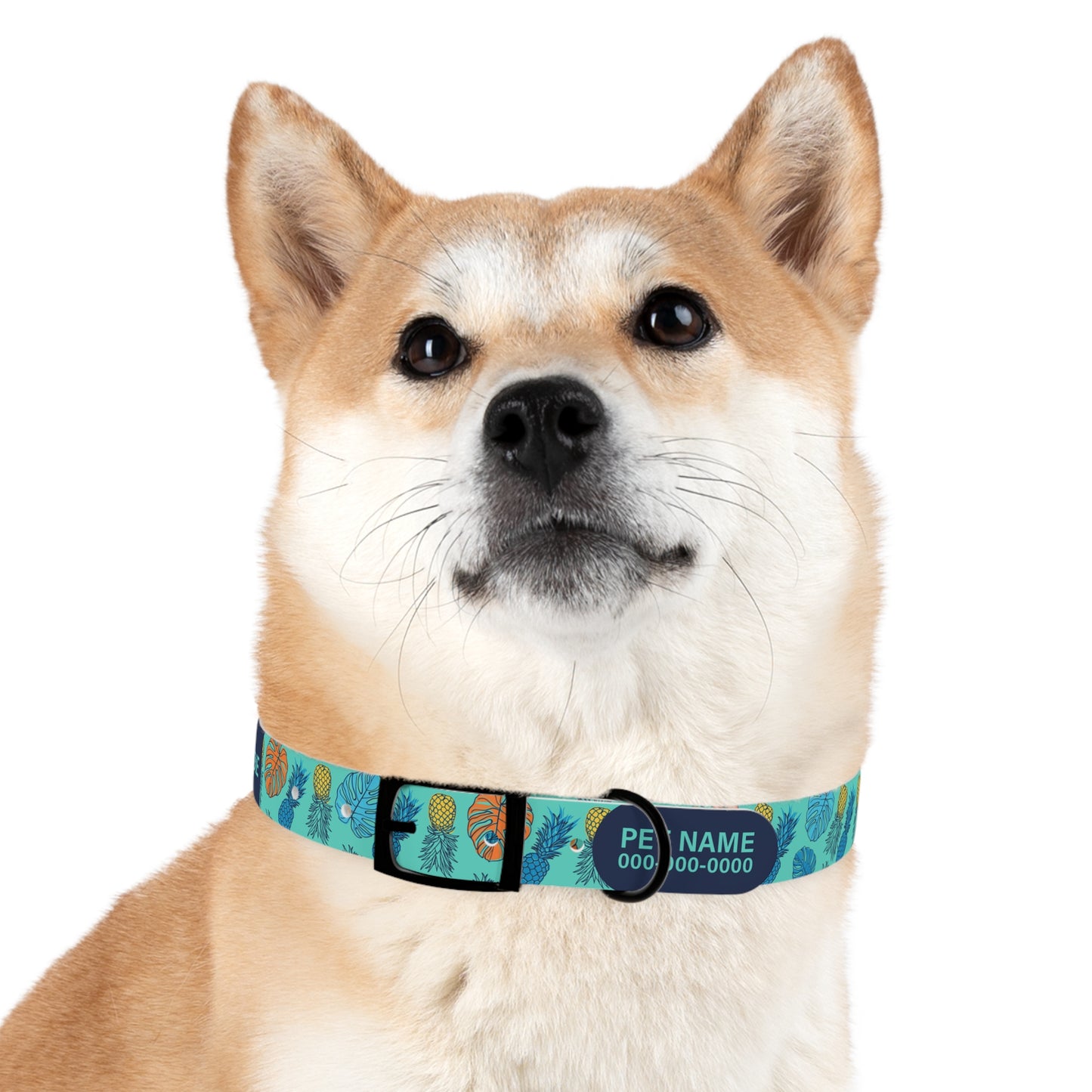 durable dog collar