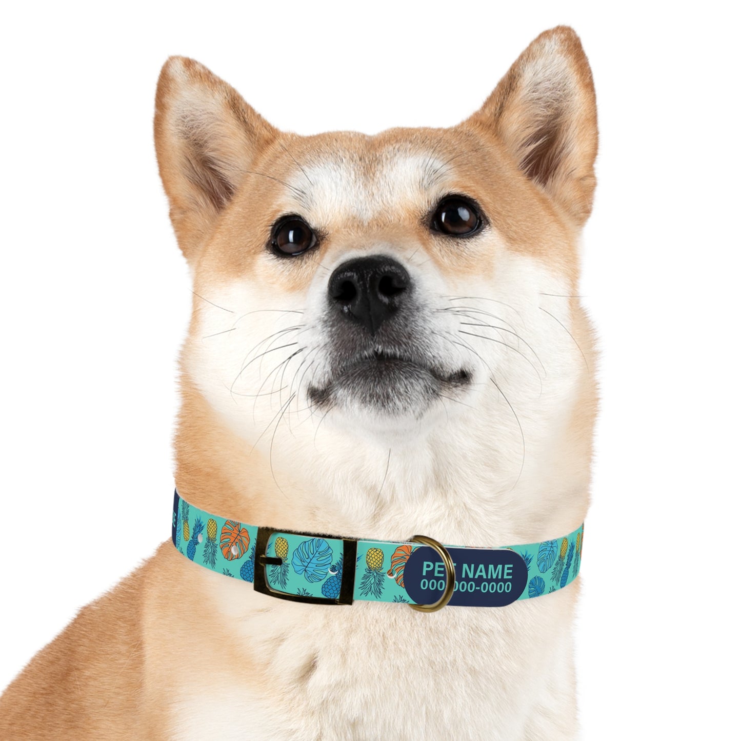 durable dog collar