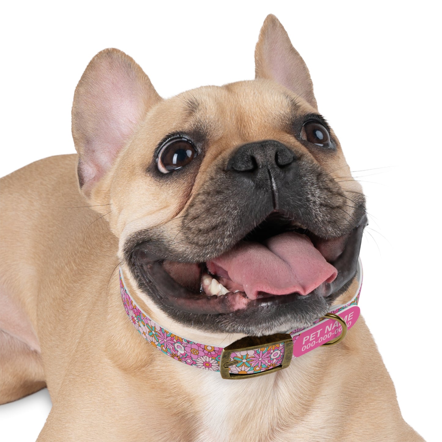 durable dog collar