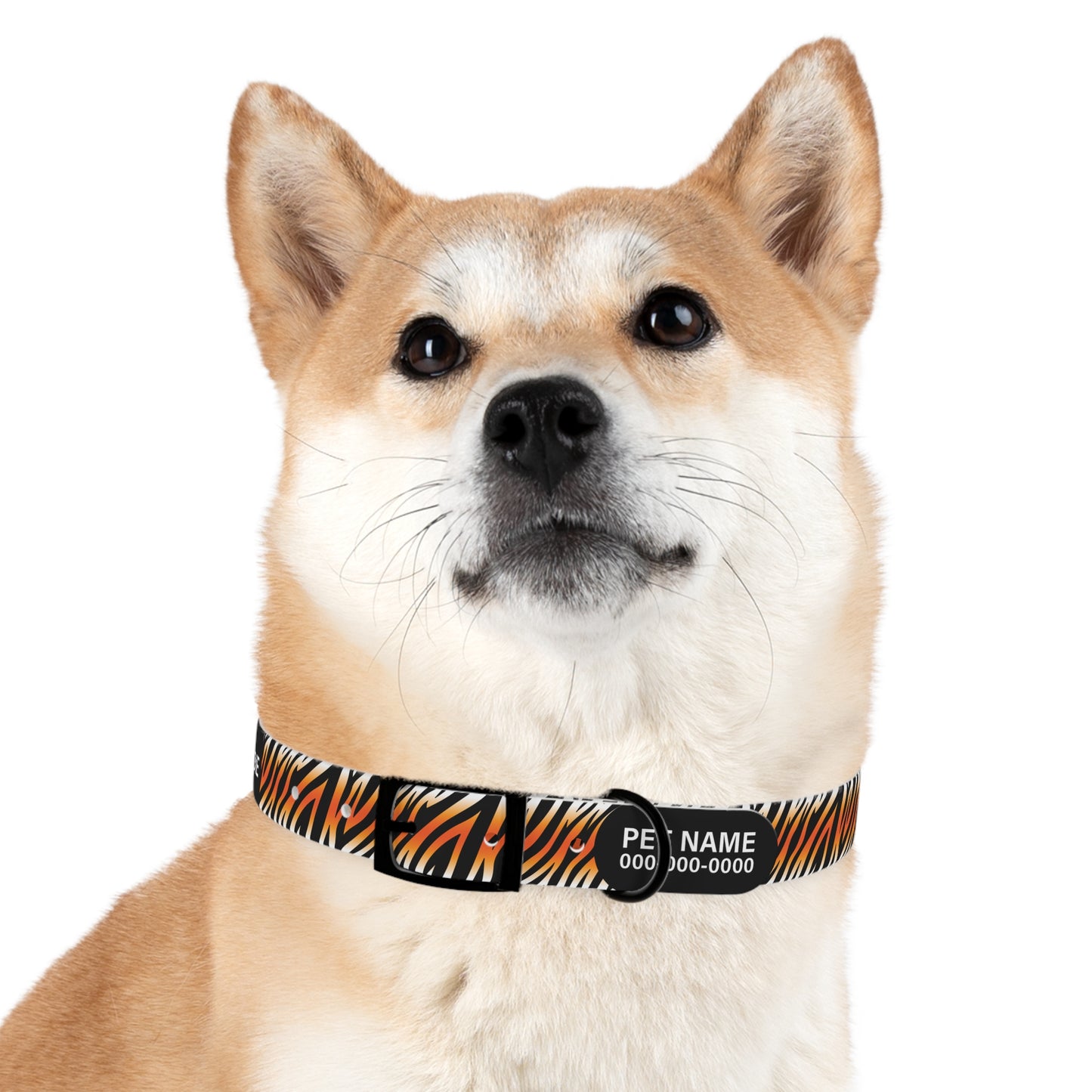 durable dog collar