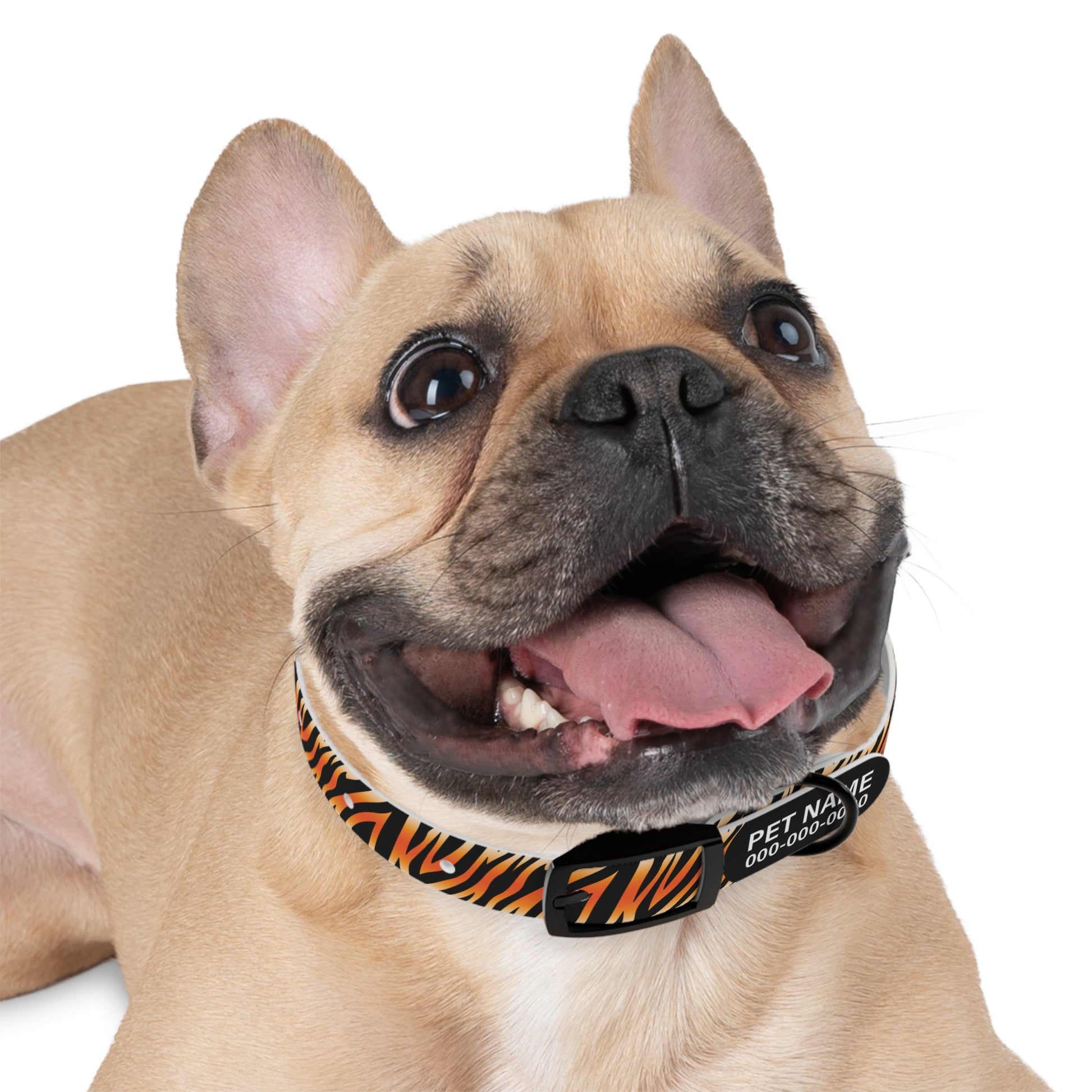 durable dog collar