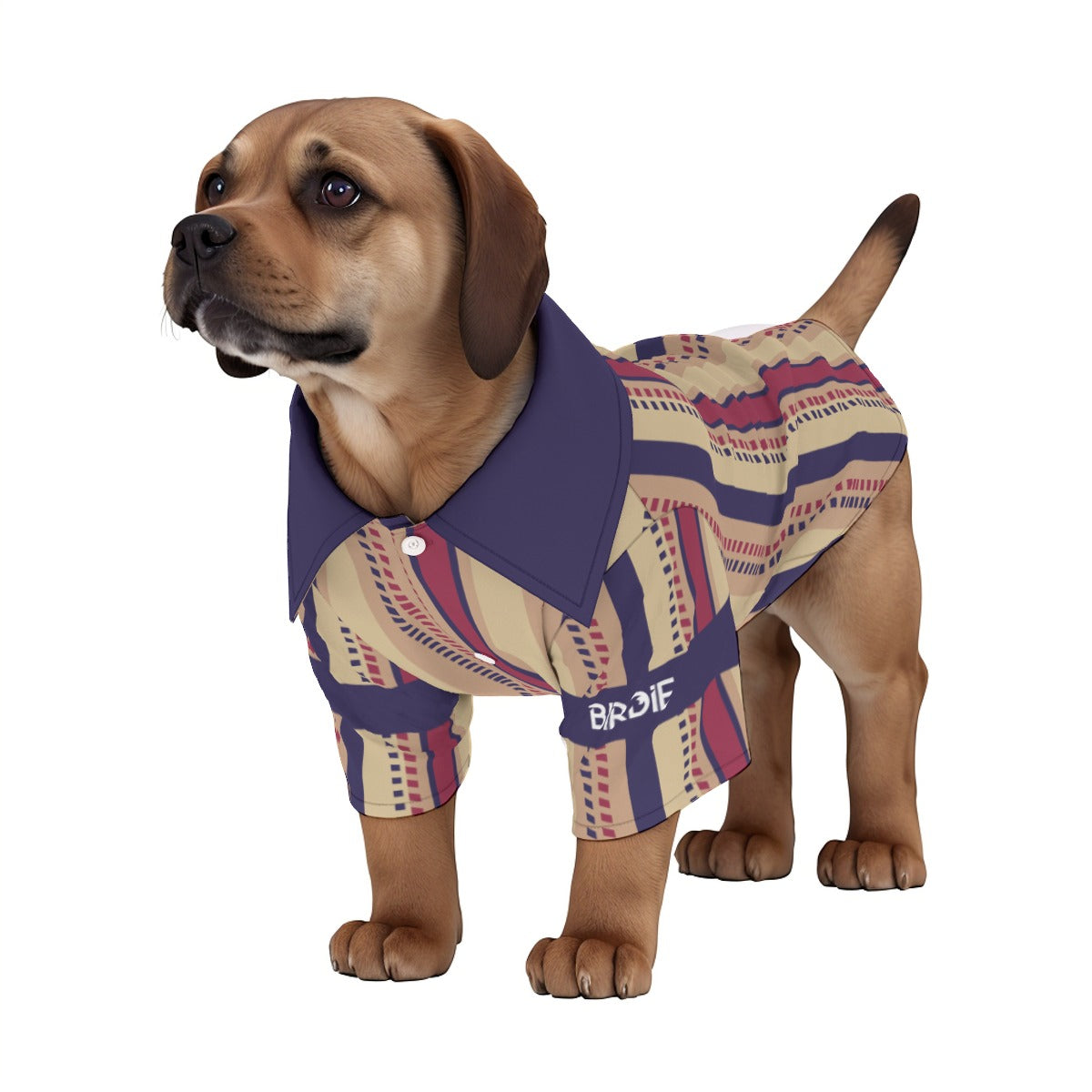 Matching human and pet hawaiian shirts