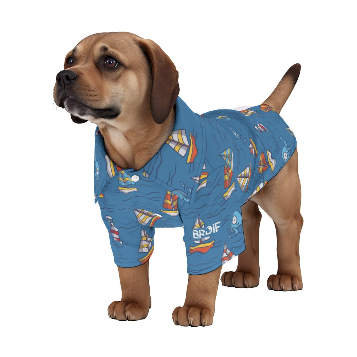 Matching human and pet hawaiian shirts