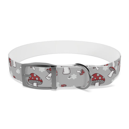 durable dog collar