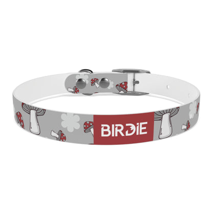 durable dog collar