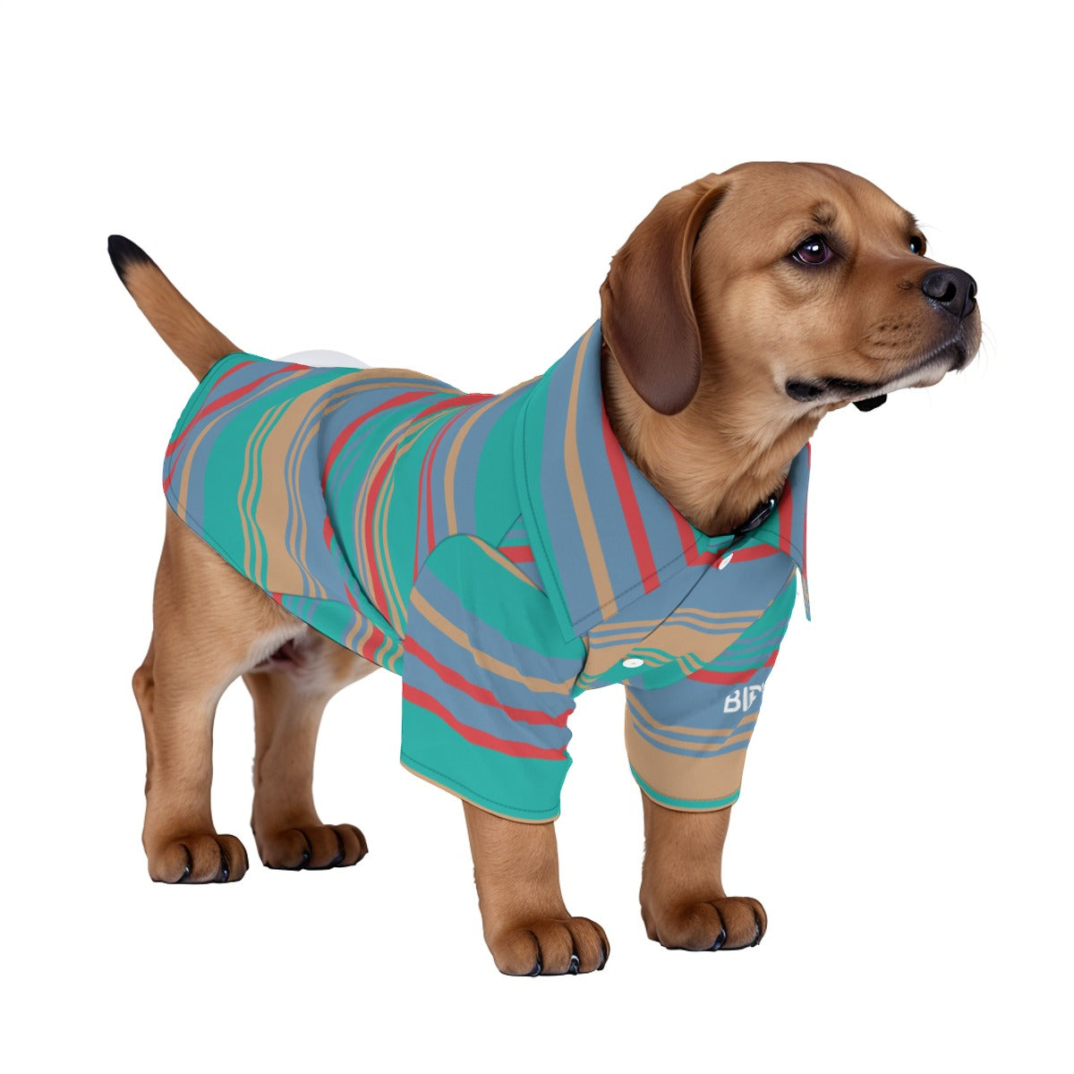 Matching human and pet hawaiian shirts