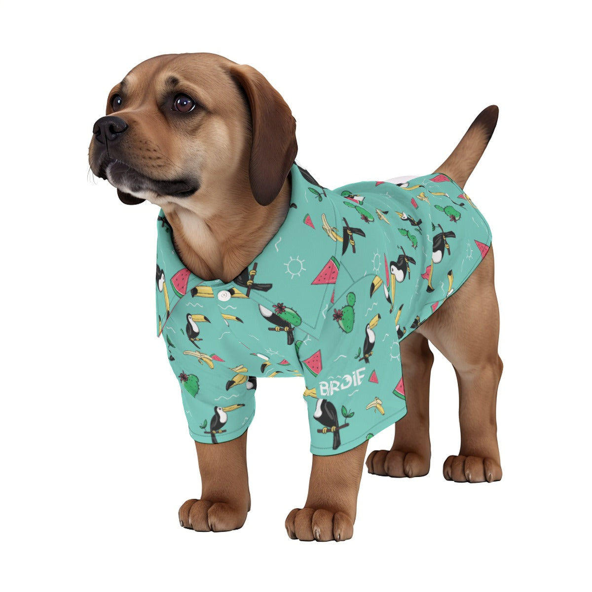 Matching human and pet hawaiian shirts